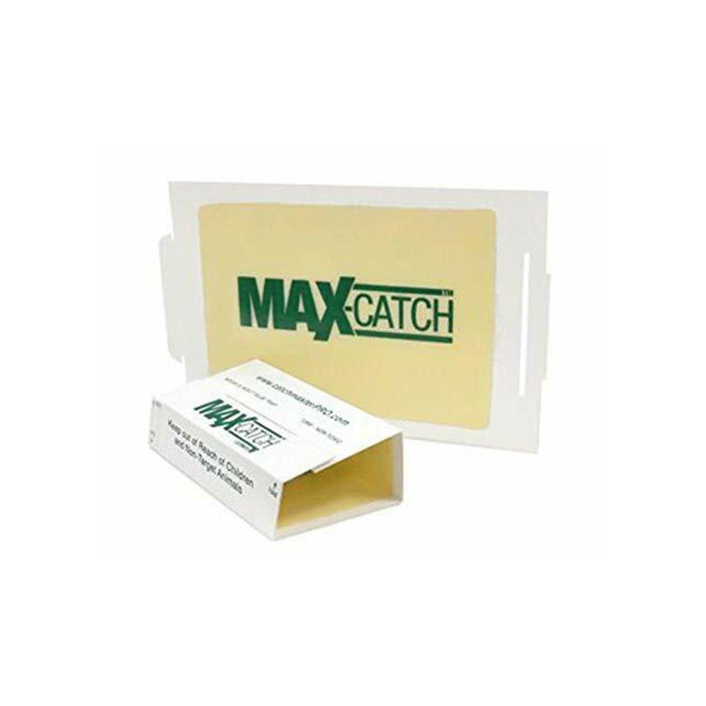 http://bugclinic.com/cdn/shop/products/catchmaster-72max-glue-trap-trap-bug-clinic_1200x1200.jpg?v=1615224552