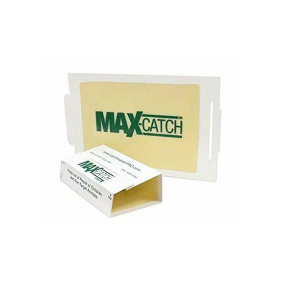 Catchmaster 72MAX Glue Trap-trap-Catchmaster-Bug Clinic Bugclinic.com - Get rid of all your pests - Do it yourself pest control