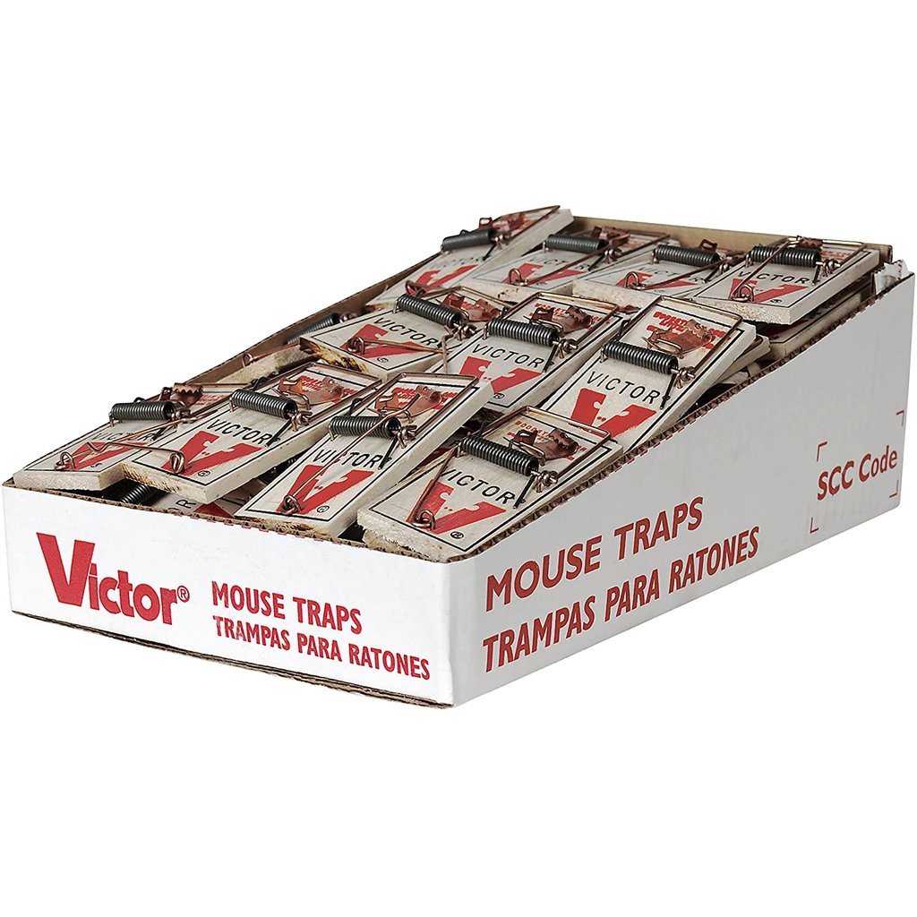 http://bugclinic.com/cdn/shop/products/victor-metal-pedal-mouse-trap-pack-of-72-trap-bug-clinic_1200x1200.jpg?v=1615224531